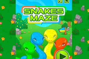 Snake Maze